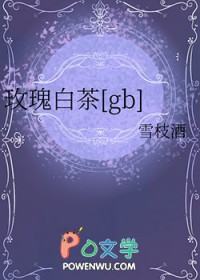 玫瑰白茶茶块礼盒